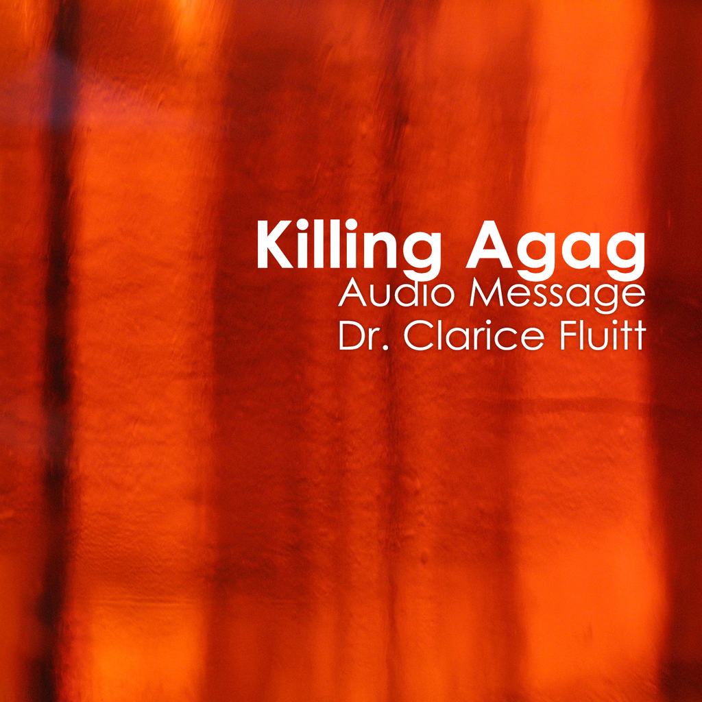 Killing Agag