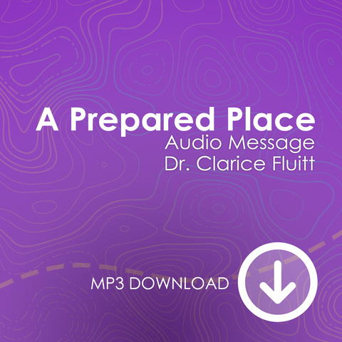 A Prepared Place MP3